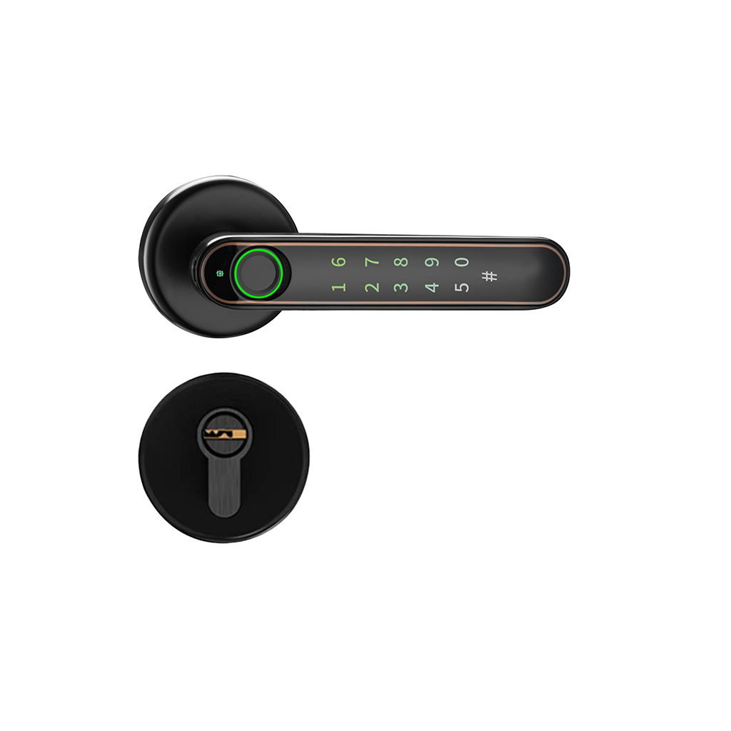 298 Smart Lever Lock 6 Unlocking Ways