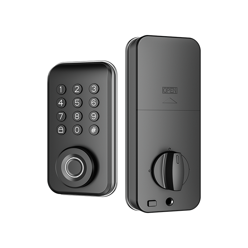 DS02 Smart Deadbolt Lock 5 Unlocking Ways