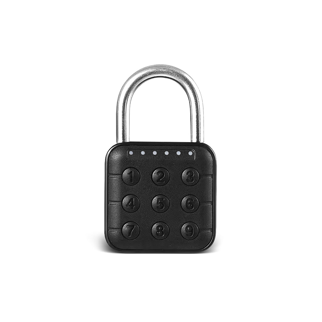 P02 Smart Padlock 2-in-1 Entry