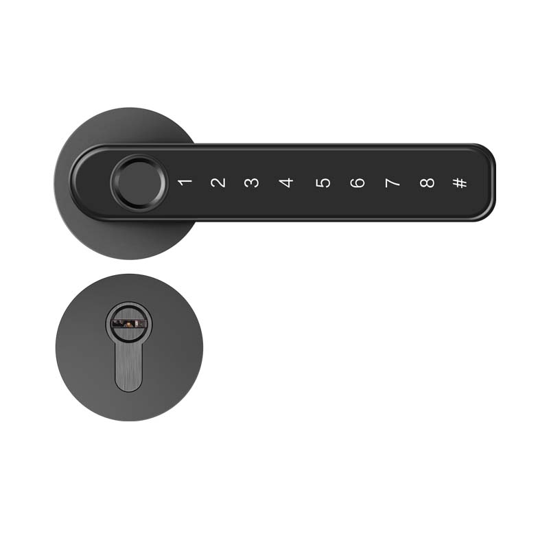 290 Smart Lever Lock 5 Unlocking Ways