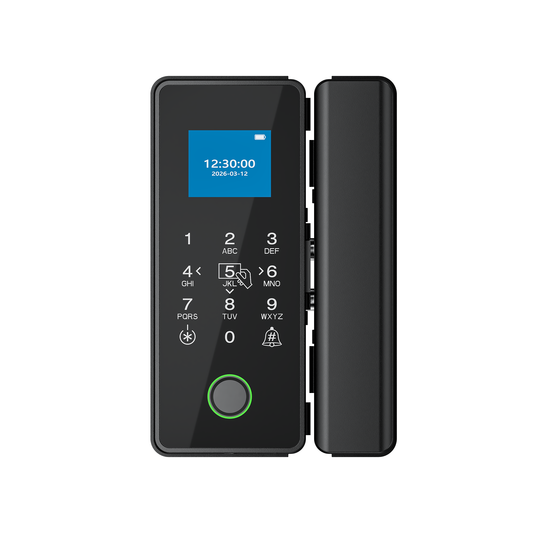A05 Smart Rim Lock 5 Unlocking ways