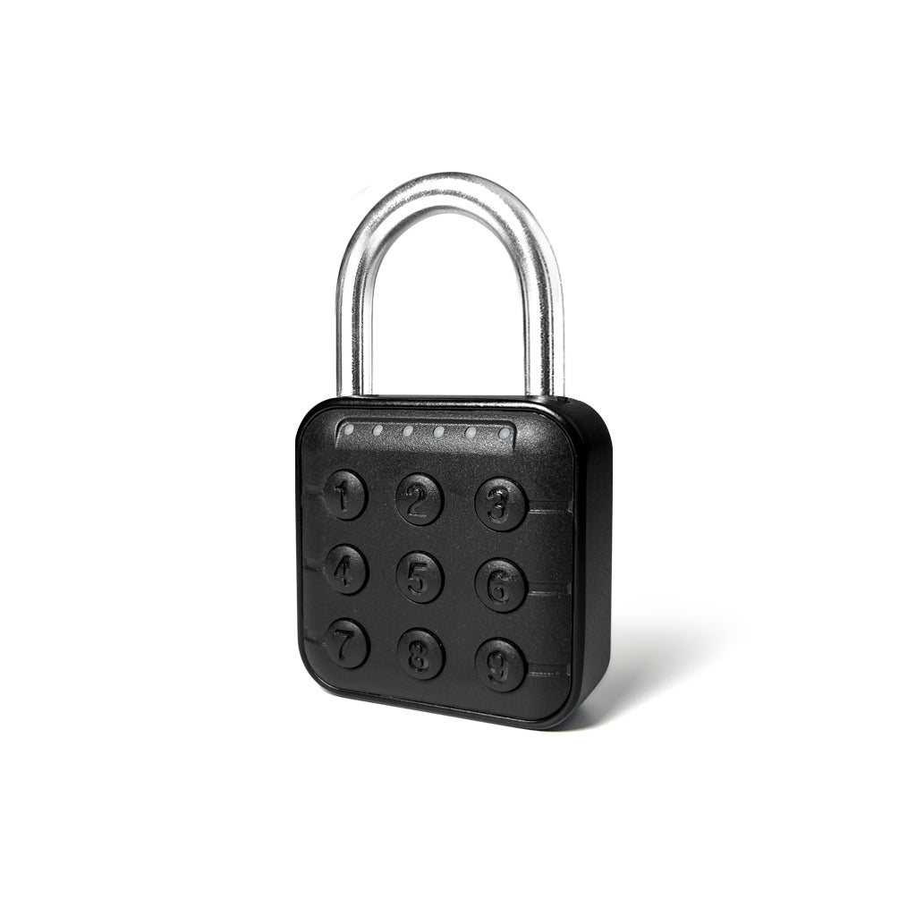 P02 Smart Padlock 2-in-1 Entry