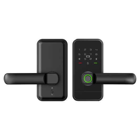 P17 Smart Lever Lock 5 Unlocking ways