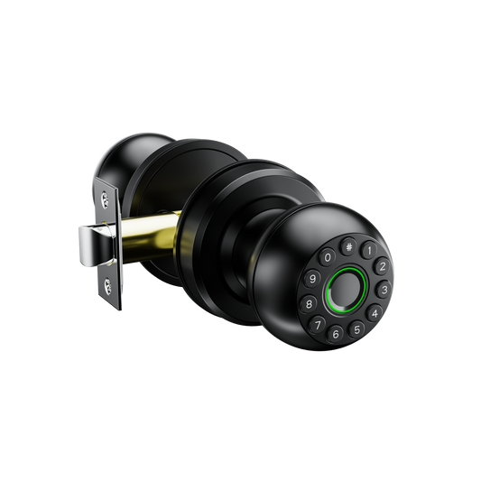Q1 Smart Knob Lock 5 Unlocking Ways