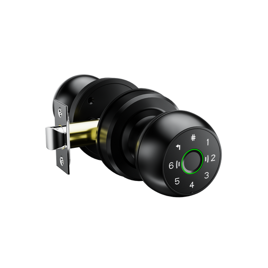 Q2 Smart Knob Lock 6 Unlocking Ways