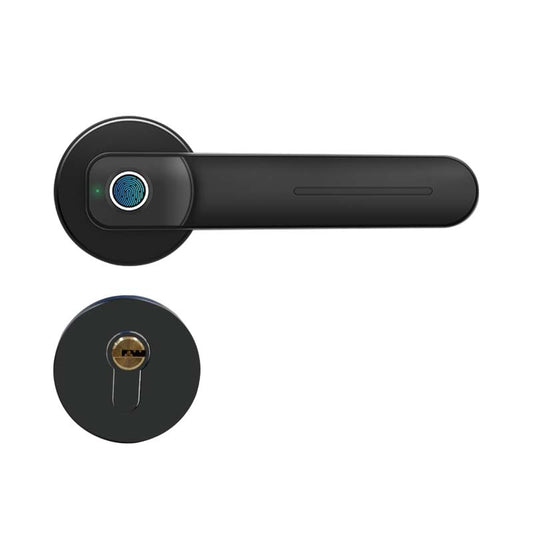 230 Smart Lever Lock 4 Unlocking Ways