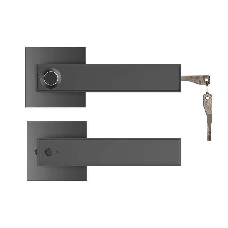 180 Smart Lever Lock 4 Unlocking Ways